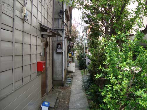 Narrow green alley, Honcho, Nakano