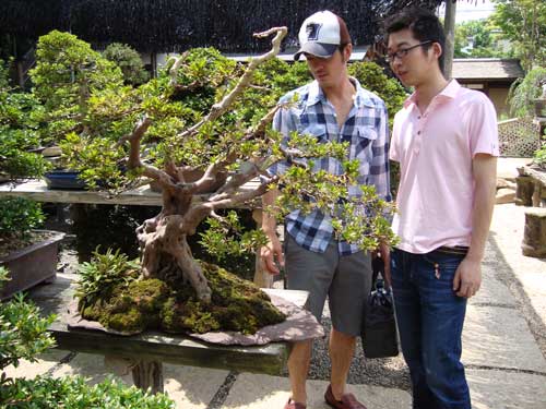 matthew and link at bonsai museum