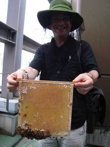 Ginza Honey Bee Project honeycomb