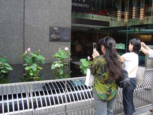 Lotus viewing in Ginza at Mikimoto