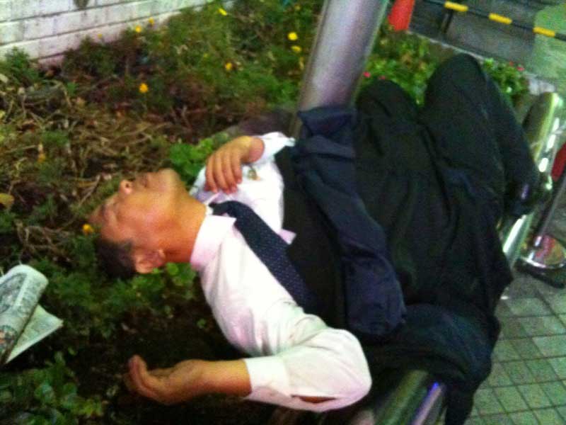 Drunk salary man passed out in flower bed