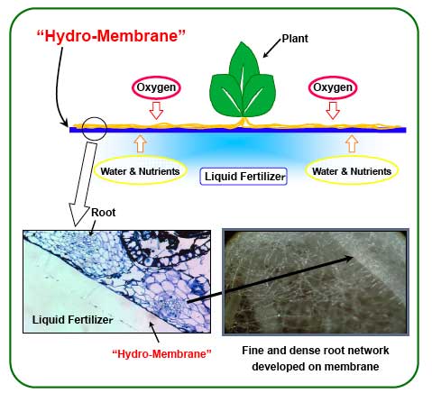 Mebiol's Hymec farm system