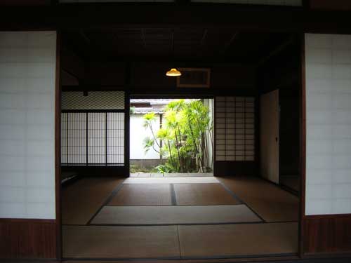 Palm trees in Kurashiki traditional courtyard house