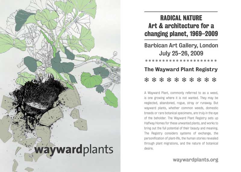 Wayward plants