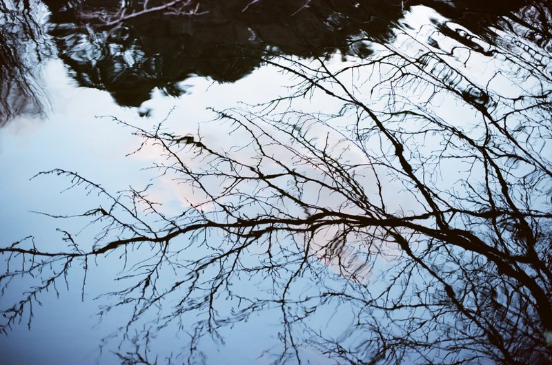 reflection_pond_shinjukugyoen_winter