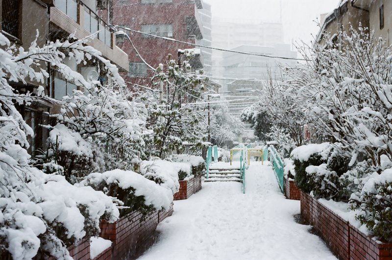 snow_nakano_pedestrian_path