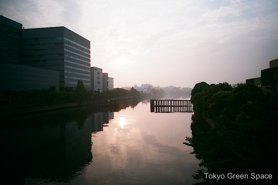 canal_shinkiba_dawn