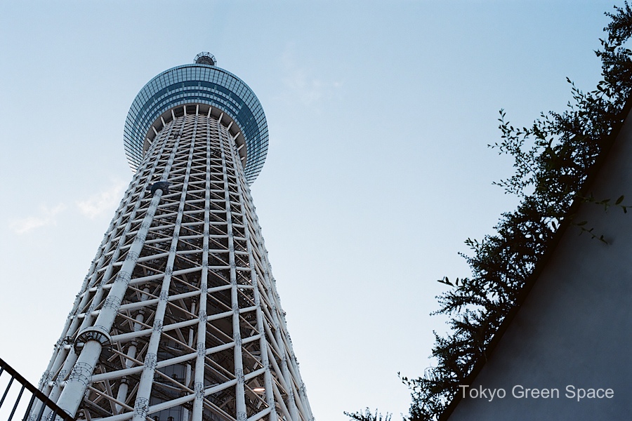 SkyTree_view_from_ground