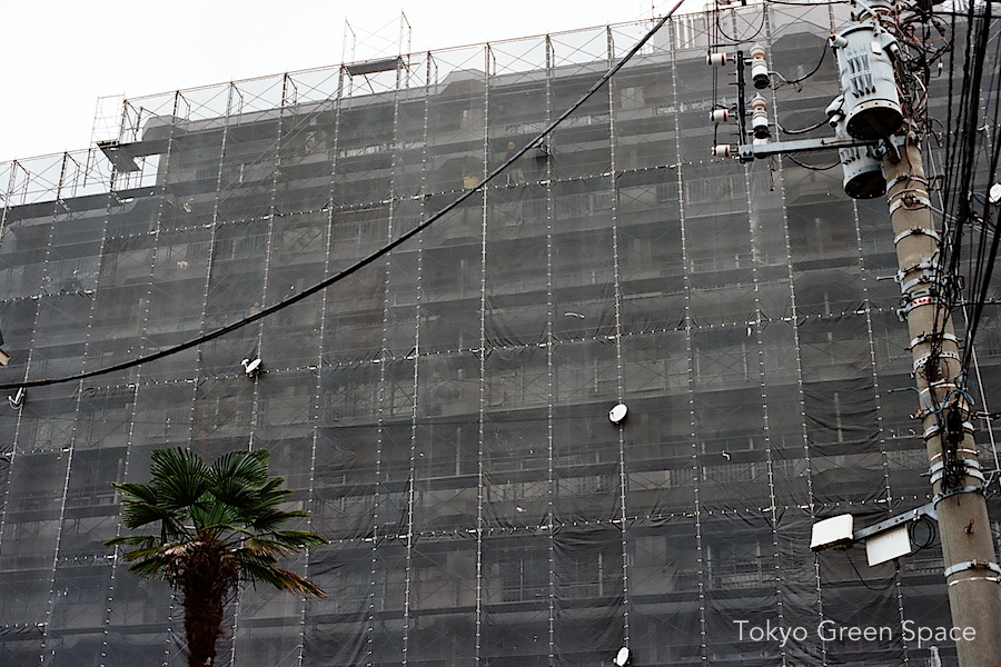 scaffolding_front_satellite_dishes_clouds_palm