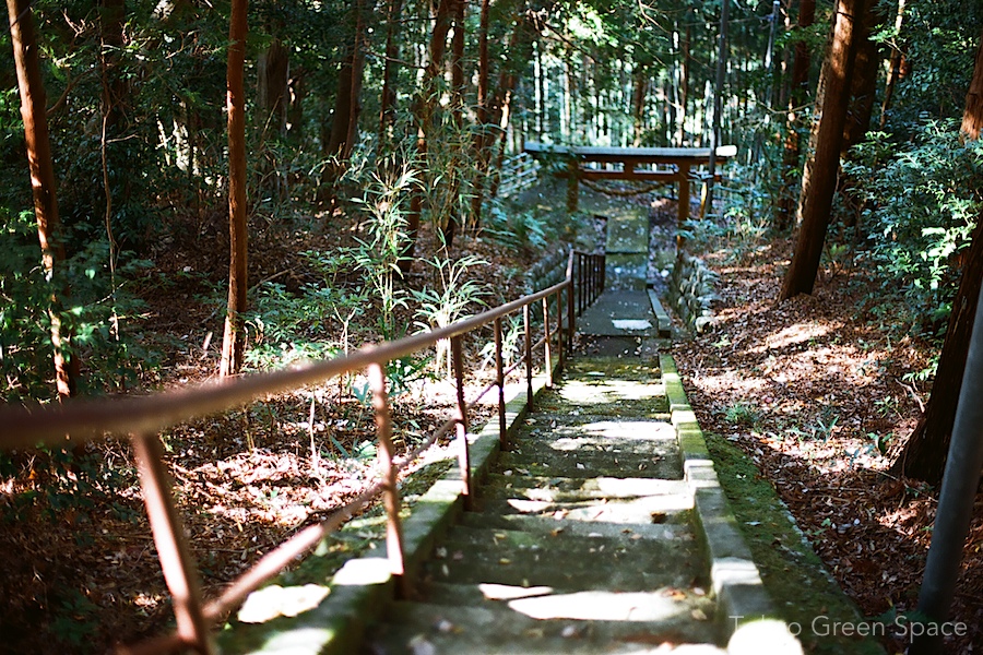 shrine_stairs_izu_fall