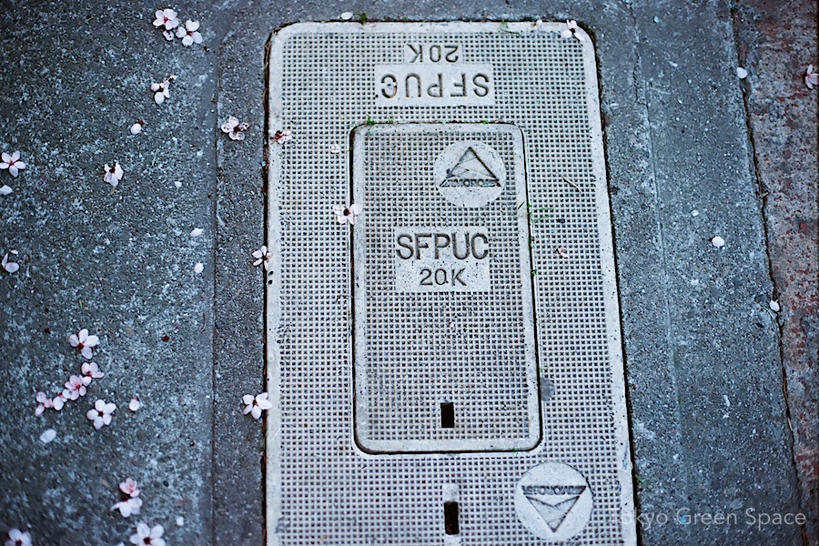 plum_sfpuc_sidewalk
