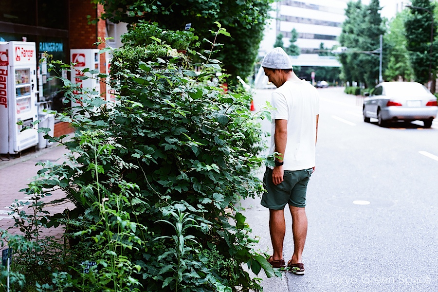 shige_florishiroko_sidewalk_garden