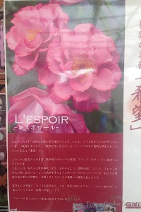 lespoir_rose_balcony_nakano_label